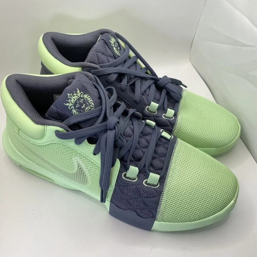 New Nike Lebron Witness 8 Basketball Vapor Green White Carbon SZ 12.5 FB2239 300